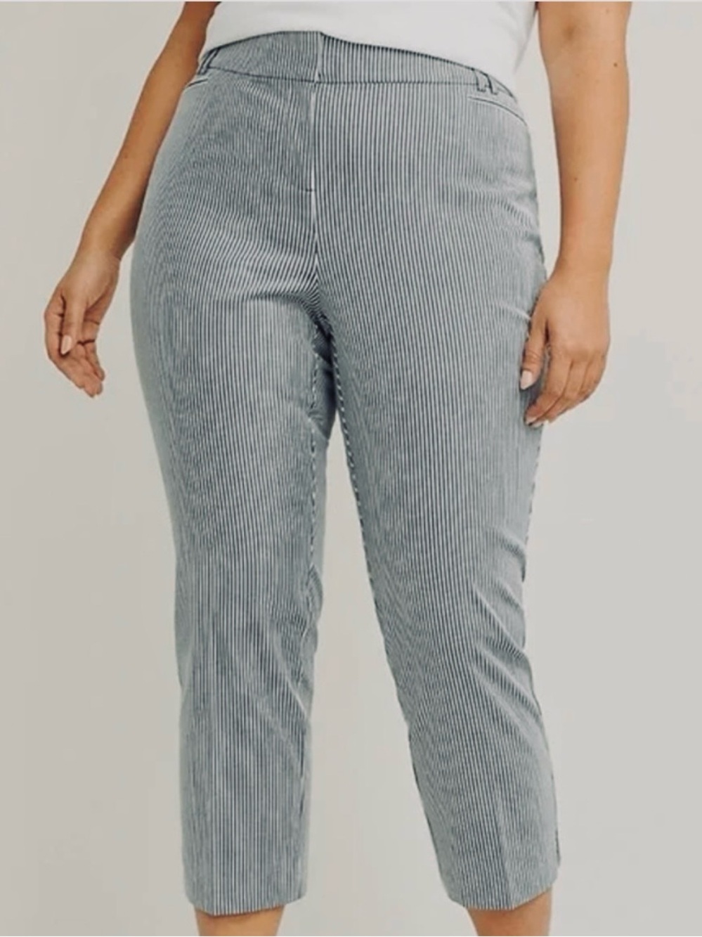 Lane Bryant The Allie Striped Pants